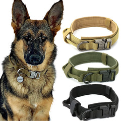German Shepherd wearing a Dog Collar with three additional tan, green, and black Dog Collar options displayed beside it