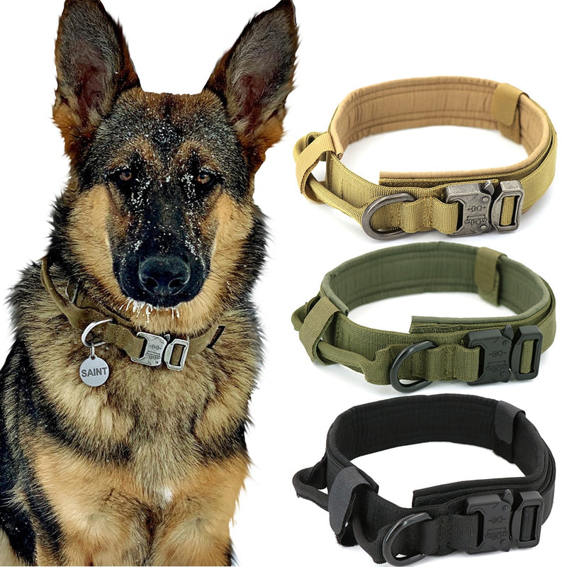 German Shepherd wearing a Dog Collar with three additional tan, green, and black Dog Collar options displayed beside it