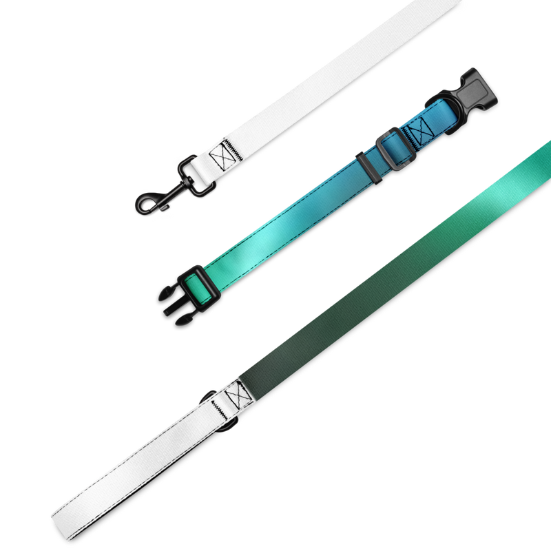 Three colored nylon straps with buckles and clips showing the @PulseReport-v2m Pet Collar & Leash design