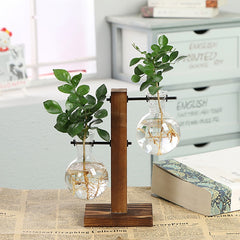 Hydroponic Transparent Plant Vases with green plants and visible roots, held by a wooden frame on a table.