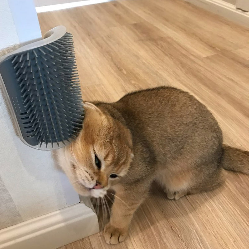 Cat rubbing its head against a wall-mounted Cat Self Groomer Corner Brush on a wooden floor background