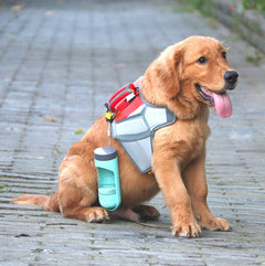 Golden retriever wearing a harness with a Portable Dog Drinker Bottle attached, sitting on a paved path.